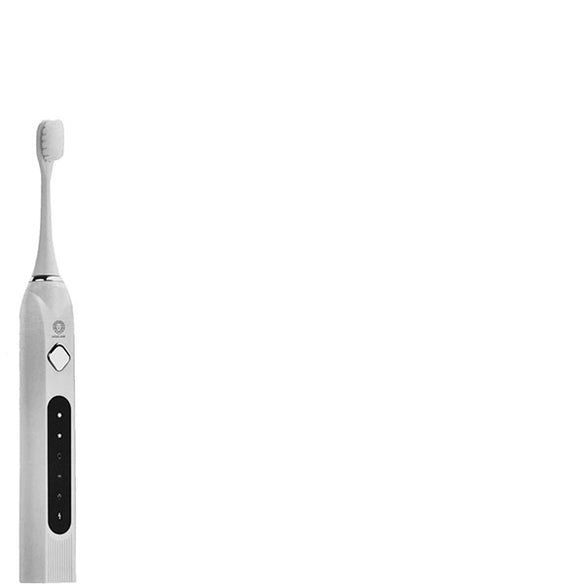 Brosse à dents électrique - GL 9248